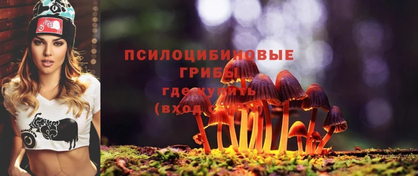 ешки Нефтегорск