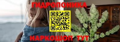 Альфа ПВП Чебоксары
