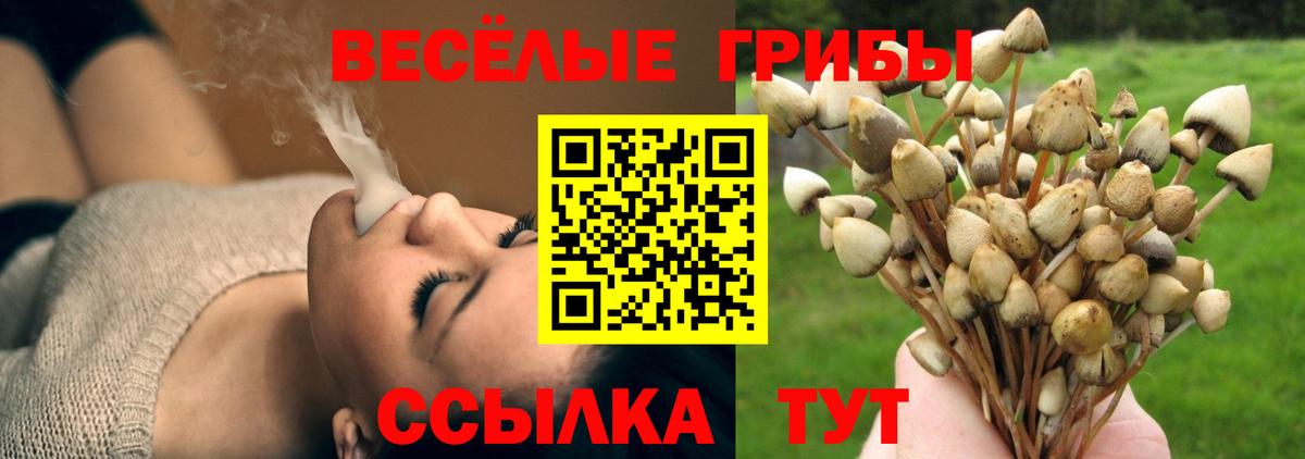 Ачинск  Галлюциногенные грибы ЛСД  Вход с VPN 